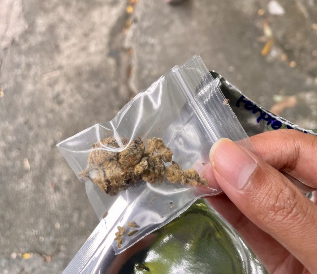 Thai Cannabis