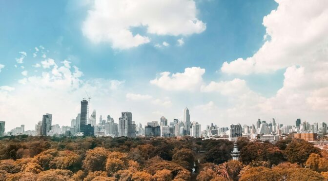 brown trees under white and blue cloudy sky