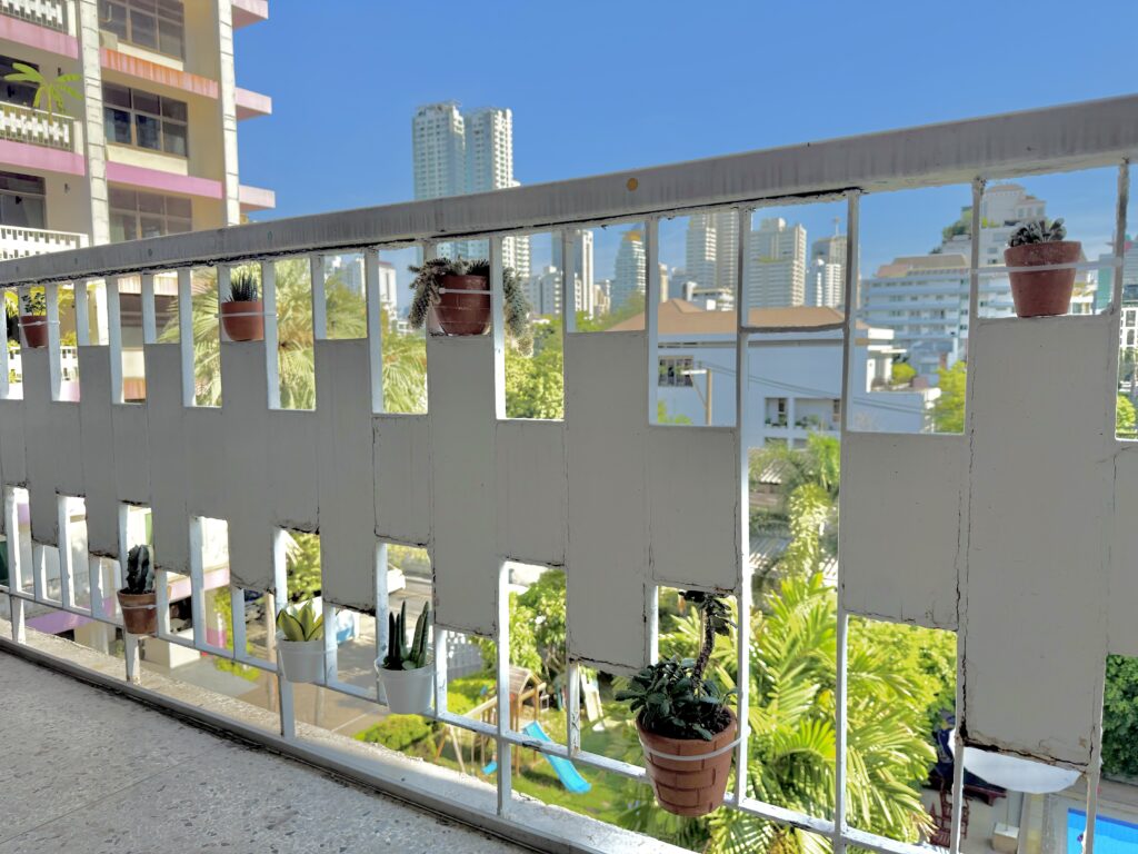 Succulents in the balcony