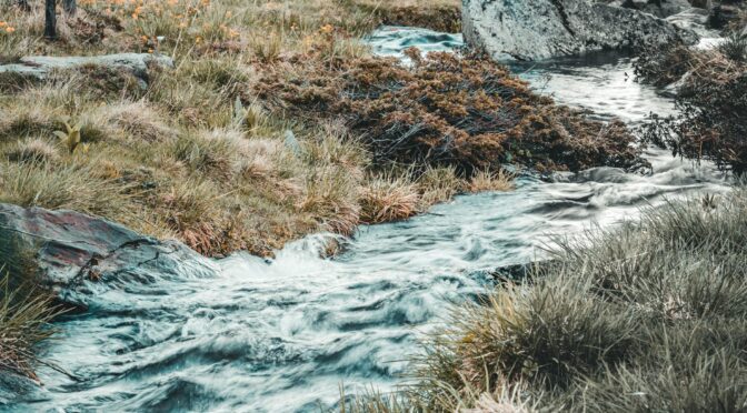 stream near green grass fields